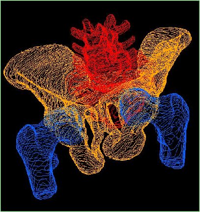 Contour stack segmented in TOSCA